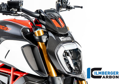 Ilmberger Carbon InstrumentCover for the Ducati Diavel 1260 2019