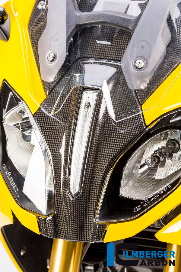 Ilmberger Carbon Upper Fairing Middle Part for the BMW R 1200 RS 2015