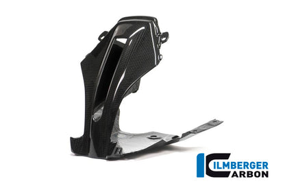 Ilmberger Carbon Upper Fairing Middle Part for the BMW R 1200 RS 2015