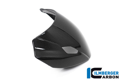 Ilmberger Carbon Windshield incl Holder for the Ducati Monster 1200/S 2017