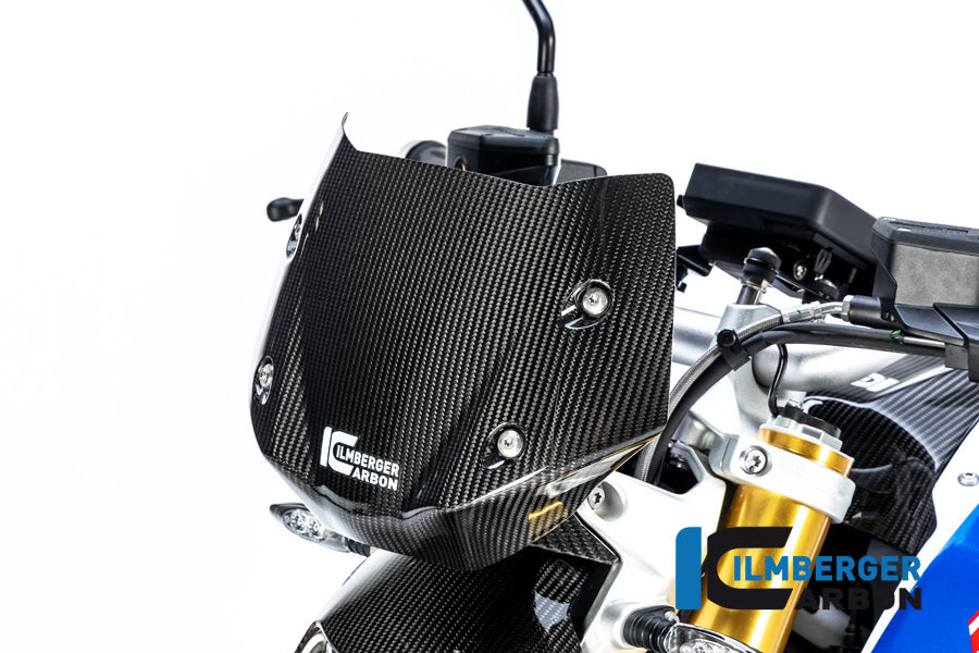 Ilmberger Carbon Windshield for the BMW R 1250 R 2019