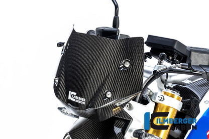 Ilmberger Carbon Windshield for the BMW R 1250 R 2019