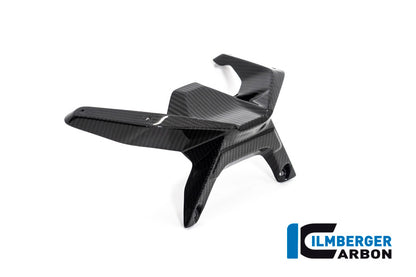 Ilmberger Carbon Windshield for the BMW R 1250 R 2019