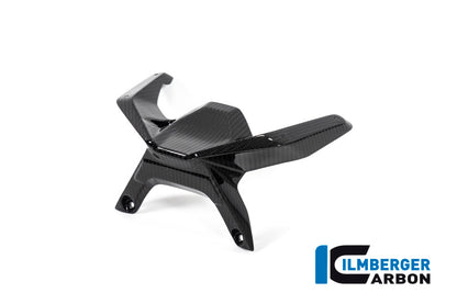Ilmberger Carbon Windshield for the BMW R 1250 R 2019