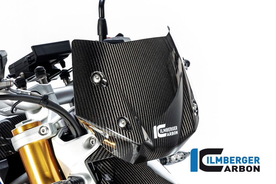 Ilmberger Carbon Windshield for the BMW R 1250 R 2019