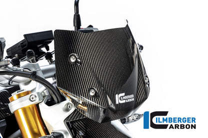Ilmberger Carbon Windshield for the BMW R 1250 R 2019