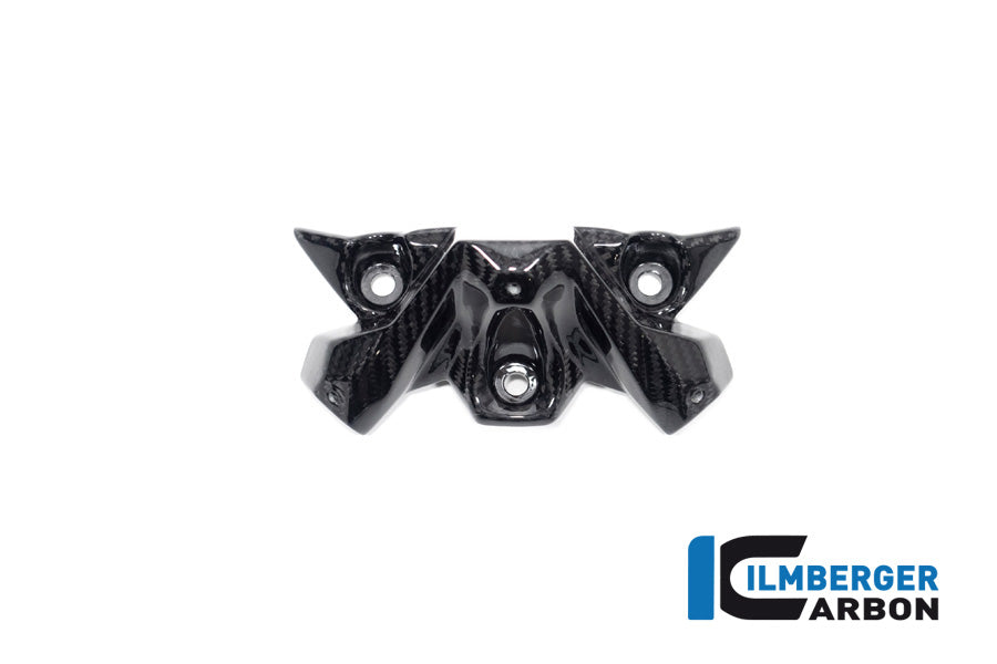 Ilmberger Carbon Windshield for the BMW S 1000 R '21 / M 1000 R '23-24