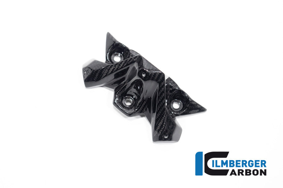 Ilmberger Carbon Windshield for the BMW S 1000 R '21 / M 1000 R '23-24
