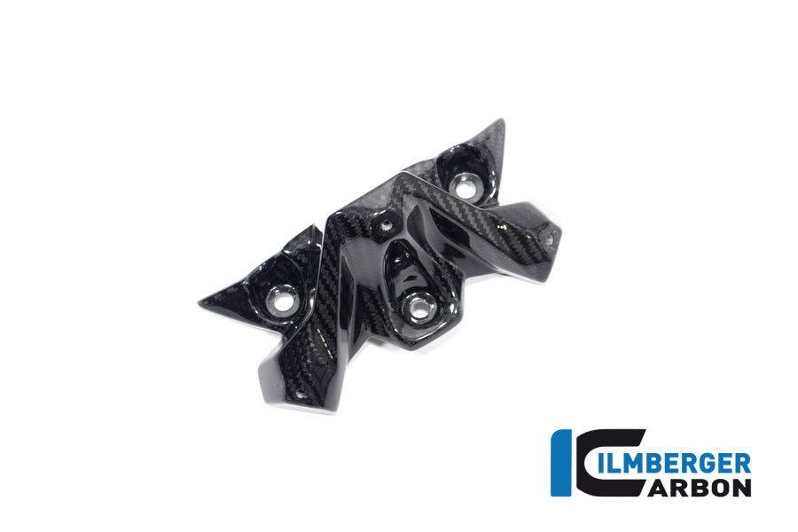 Ilmberger Carbon Windshield for the BMW S 1000 R '21 / M 1000 R '23-24