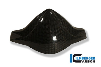 Ilmberger Carbon Windshield for the Honda CB 1000 R '08