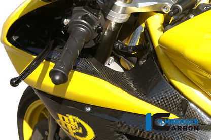 Ilmberger Carbon Airtube Covers pair Carbon for the Ducati 848, 1098 S/R, 1198 S/R 'All Year