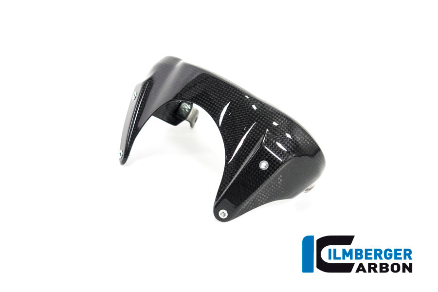 Ilmberger Carbon Windshield Carbon for the BMW R Nine T 2014-2016