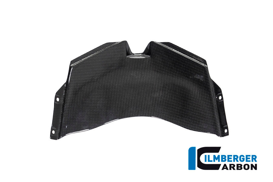 Ilmberger Carbon Front Fairing for the Ducati Panigale V4 / V4 S / V4 R '20-22 / V4 R Racing '19-21