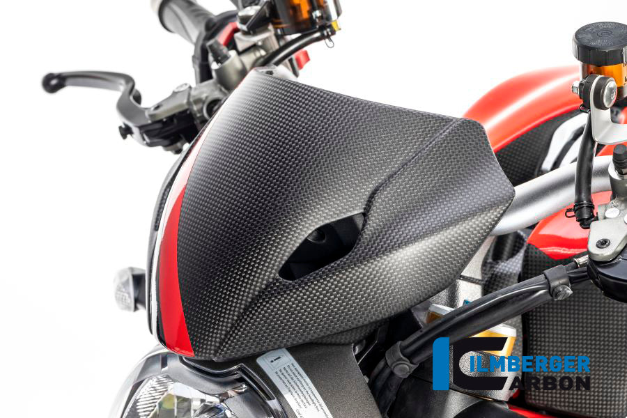 Ilmberger Carbon Windshield incl Holder for the Ducati Monster 1200/S 2017
