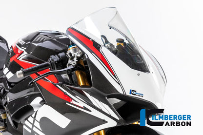 Ilmberger Carbon Front Fairing Stocksport for the Ducati Panigale V4 Racing '18-19