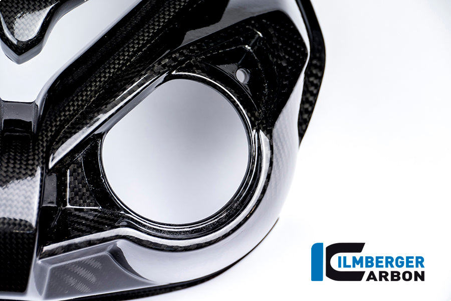 Ilmberger Carbon Front Fairing, Carbon for the BMW S 1000 R 2014-2017