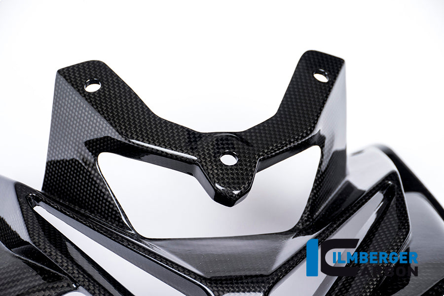 Ilmberger Carbon Front Fairing, Carbon for the BMW S 1000 R 2014-2017