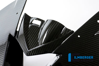 Ilmberger Carbon Front Face Fairing, Carbon for the BMW S 1000 RR 2015-2018