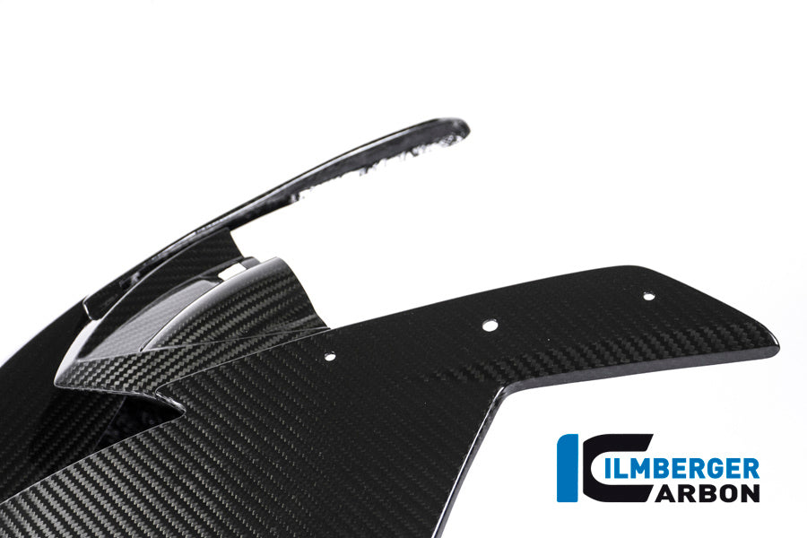 Ilmberger Carbon Front Face Fairing, Carbon for the BMW S 1000 RR 2015-2018