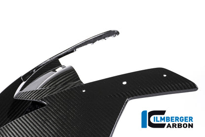 Ilmberger Carbon Front Face Fairing, Carbon for the BMW S 1000 RR 2015-2018