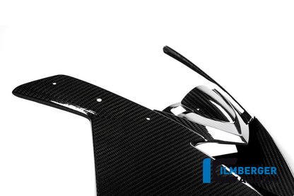 Ilmberger Carbon Front Face Fairing, Carbon for the BMW S 1000 RR 2015-2018