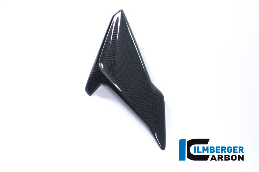 Ilmberger Carbon Fairing Side Panel, Right for the BMW S 1000 R 2017