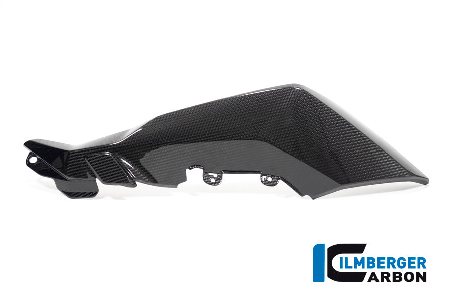 Ilmberger Carbon Fairing Side Panel, Right Side for the BMW S 1000 XR '20-24 / M 1000 XR '24