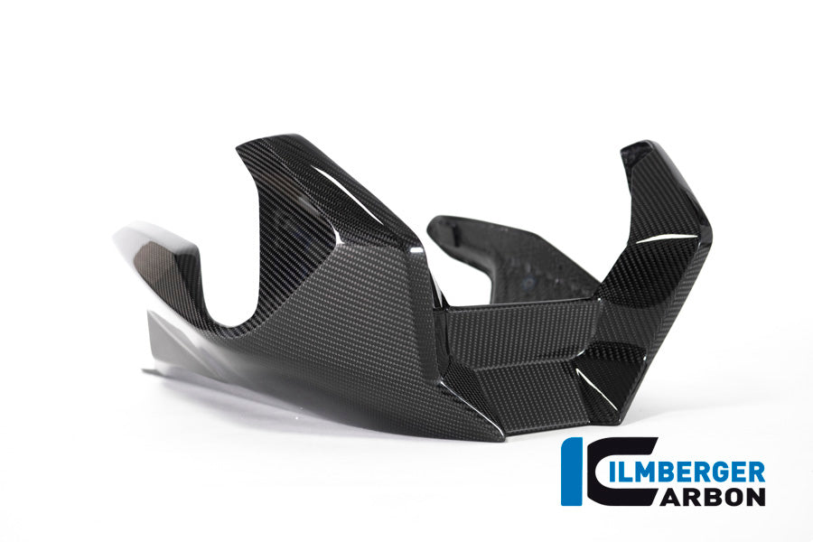 Ilmberger Carbon Bellypan for the BMW R 1250 R/RS 2019
