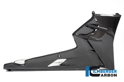 Ilmberger Carbon Bellypan 1 Piece Carbon for the Aprilia Tuono V4 2021