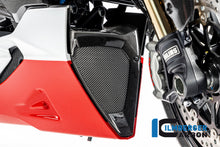 Ilmberger Carbon Middle Part of the Bellypan for the Ducati Diavel 1260 2019