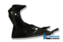 Ilmberger Carbon Bellypan, Carbon for the BMW K 1200 R '05-08, K 1300 R '08-24