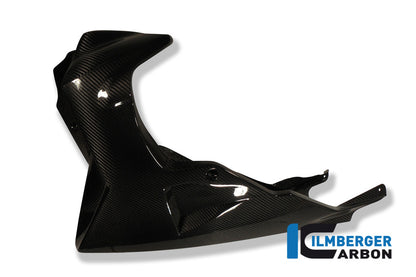 Ilmberger Carbon Bellypan, Carbon for the BMW K 1200 R '05-08, K 1300 R '08-24