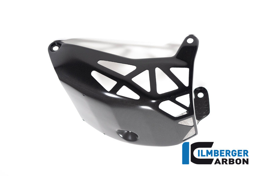 Ilmberger Carbon Motorcover Matt Surface for the Ducati Multistrada V4 / V4 S '20 / V4 Pikes Peak '21-25 / V4 Rs '24