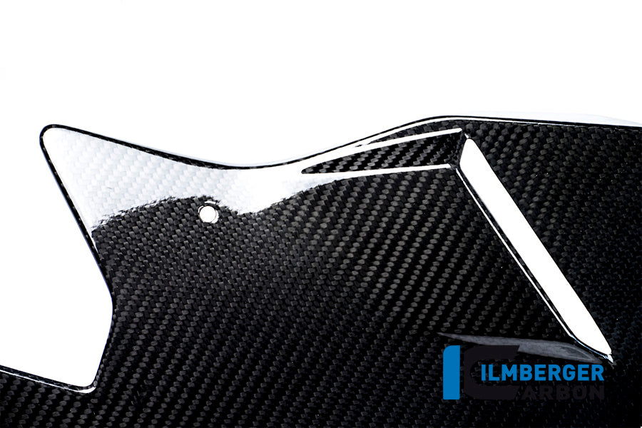Ilmberger Carbon Bellypan, Carbon for the BMW S 1000 R 2014-2016
