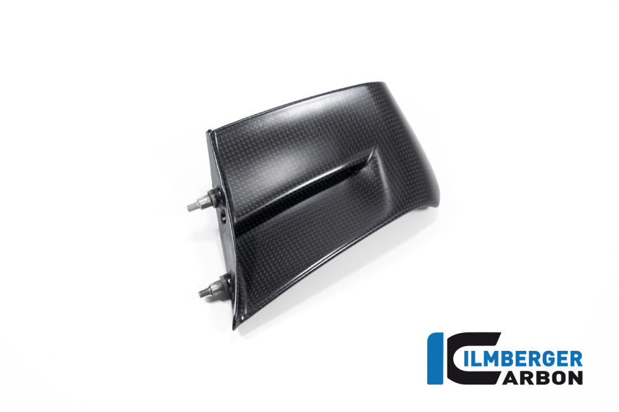 Ilmberger Carbon Winglet, Left Side for the Ducati Panigale V4,V4 R,V4 S Racing '22