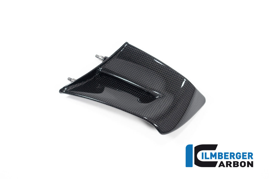 Ilmberger Carbon Winglet, Left Side for the Ducati Panigale V4,V4 R,V4 S Racing '22