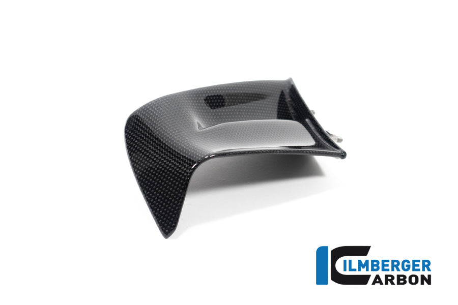 Ilmberger Carbon Winglet, Left Side for the Ducati Panigale V4,V4 R,V4 S Racing '22