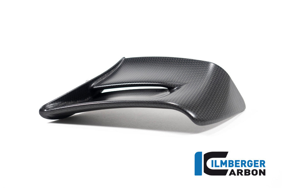 Ilmberger Carbon Winglet, Left Side for the Ducati Panigale V4,V4 R,V4 S Racing '22