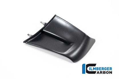Ilmberger Carbon Winglet, Left Side for the Ducati Panigale V4,V4 R,V4 S Racing '22