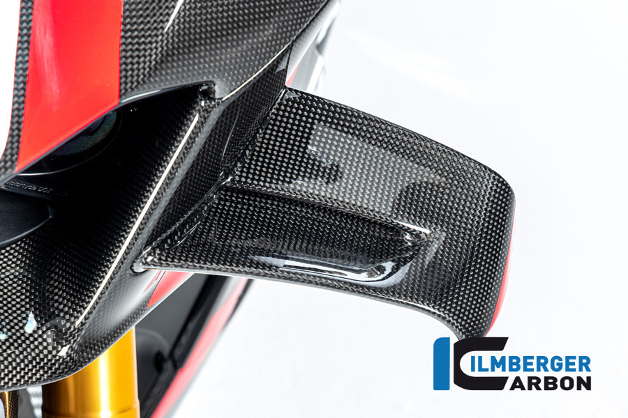 Ilmberger Carbon Winglet, Left Side for the Ducati Panigale V4,V4 R,V4 S Racing '22