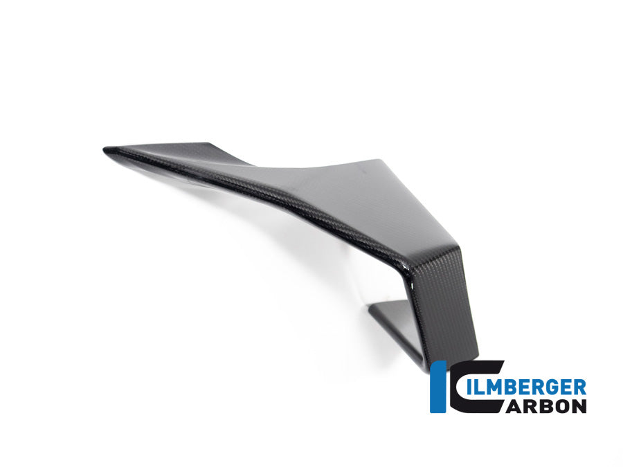 Ilmberger Carbon Winglet Left Side for the BMW M 1000 RR 2023-2024