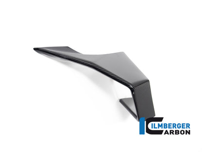 Ilmberger Carbon Winglet Left Side for the BMW M 1000 RR 2023-2024