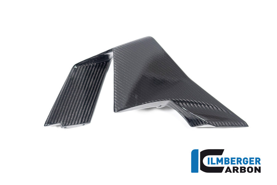 Ilmberger Carbon Winglet Left Side for the BMW M 1000 RR 2023-2024