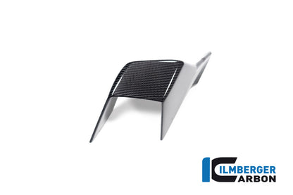 Ilmberger Carbon Winglet Left Side for the BMW M 1000 RR 2023-2024
