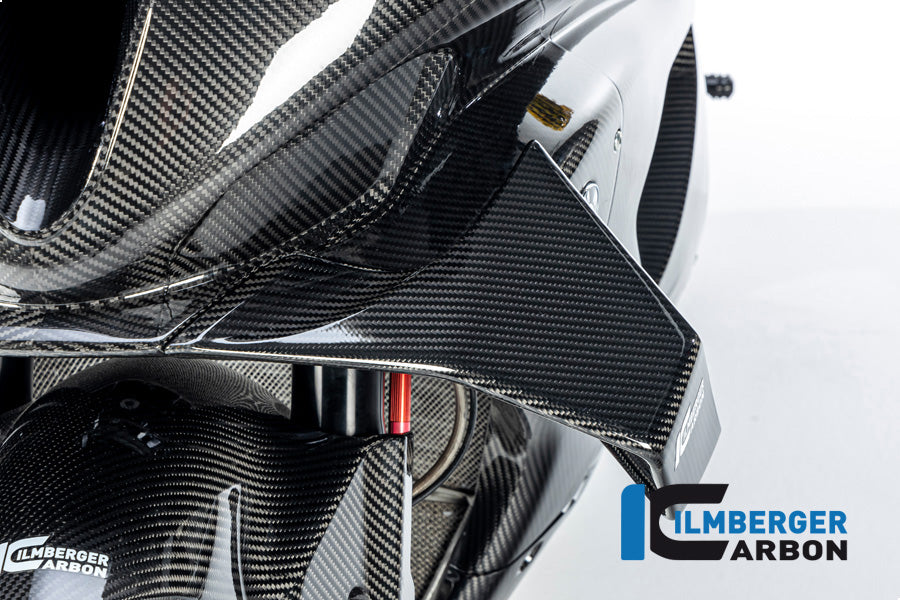 Ilmberger Carbon Winglet Left Side for the BMW M 1000 RR 2023-2024