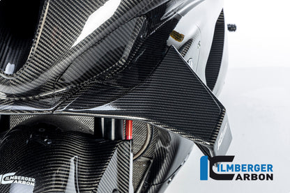 Ilmberger Carbon Winglet Left Side for the BMW M 1000 RR 2023-2024