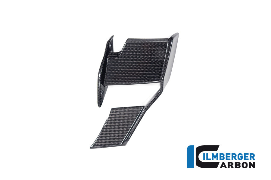 Ilmberger Carbon Winglet, Left for the BMW M 1000 R 2023-2024