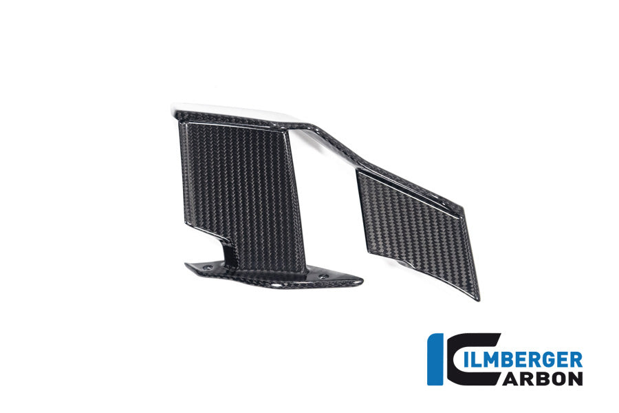 Ilmberger Carbon Winglet, Left for the BMW M 1000 R 2023-2024
