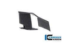 Ilmberger Carbon Winglet, Left for the BMW M 1000 R 2023-2024