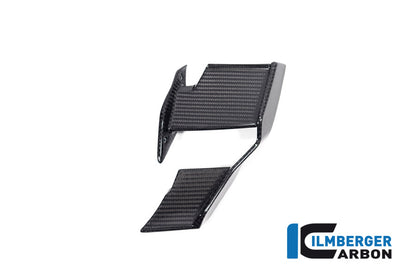 Ilmberger Carbon Winglet, Left for the BMW M 1000 R 2023-2024